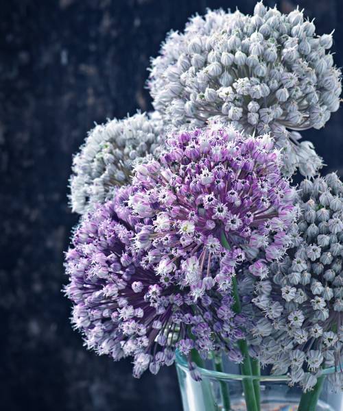 The Legacy of Prayer: Learning from Susanna Wesley